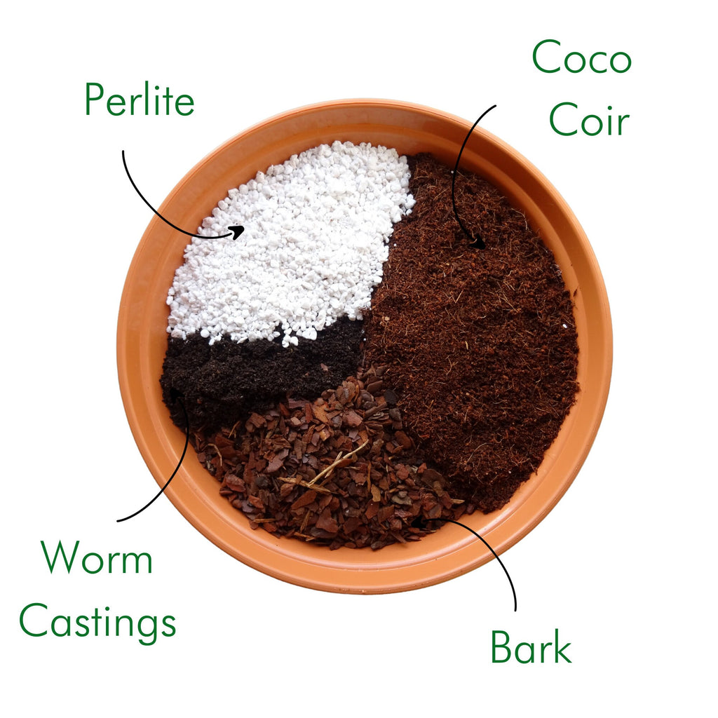 Chunky House Plant Propagating Kit | Hand-blended potting mix
