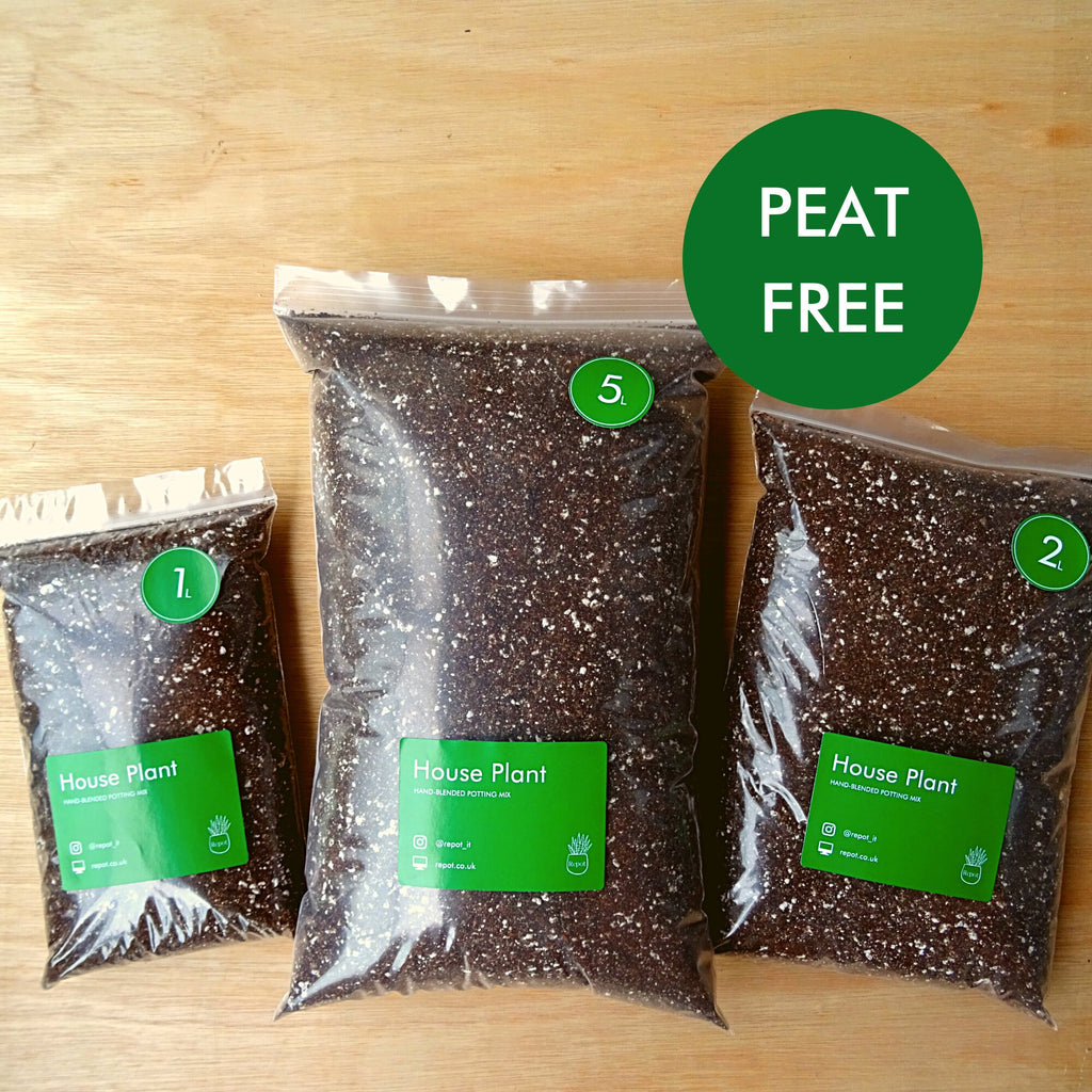 House Plant Potting Mix