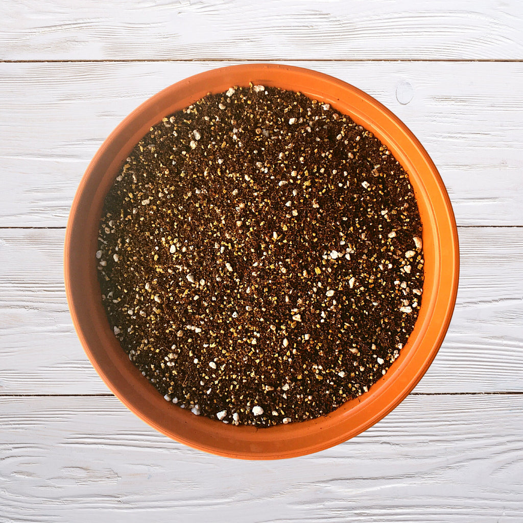 Cactus & Succulent Potting Mix