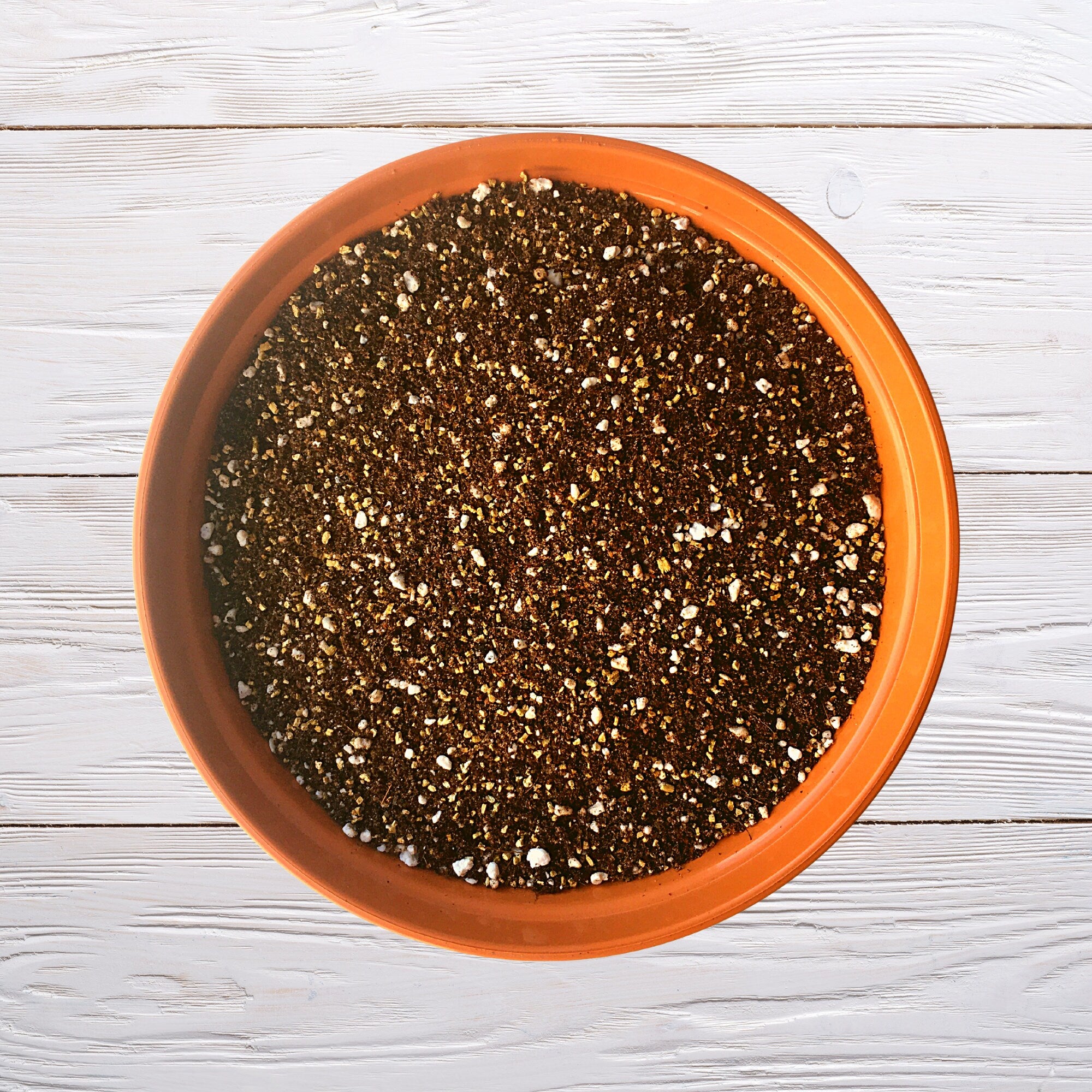 Cactus & Succulent Potting Mix