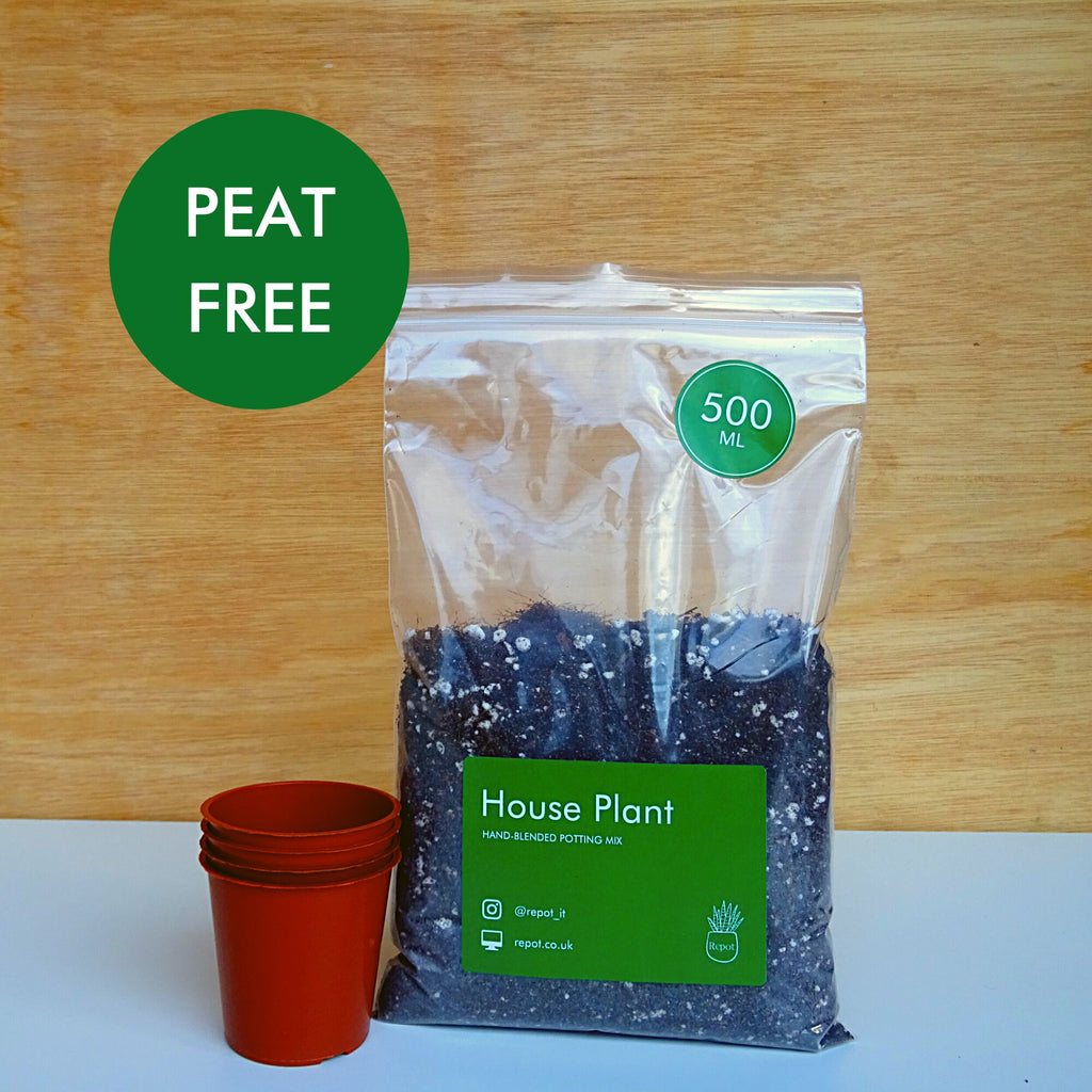 House Plant Propagating Kit | Hand-blended potting mix