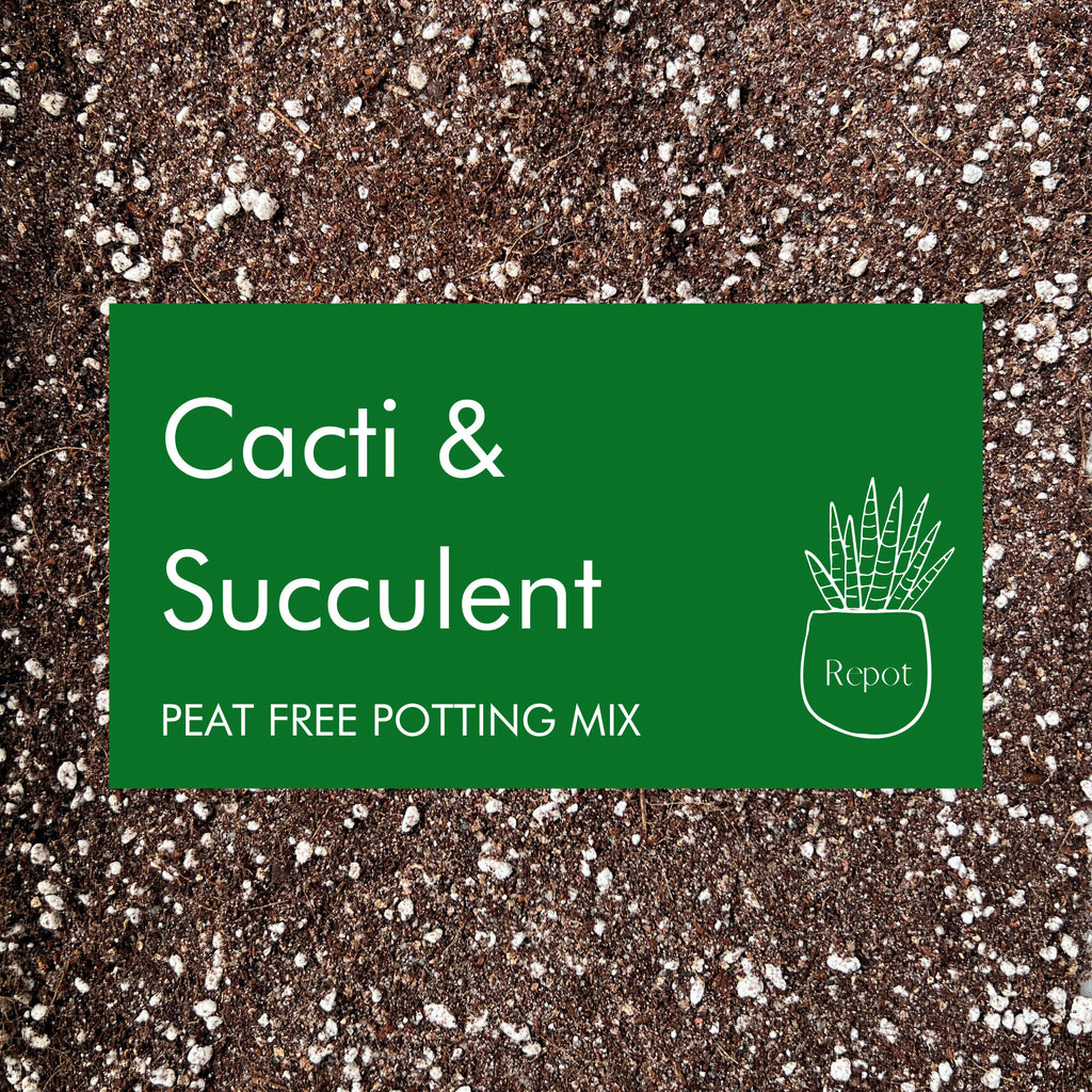 Cactus & Succulent Potting Mix