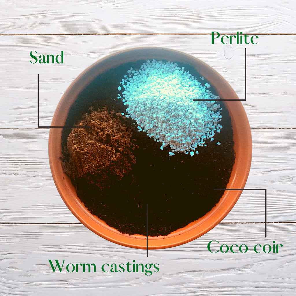 House Plant Potting Mix & Two 10cm Pots