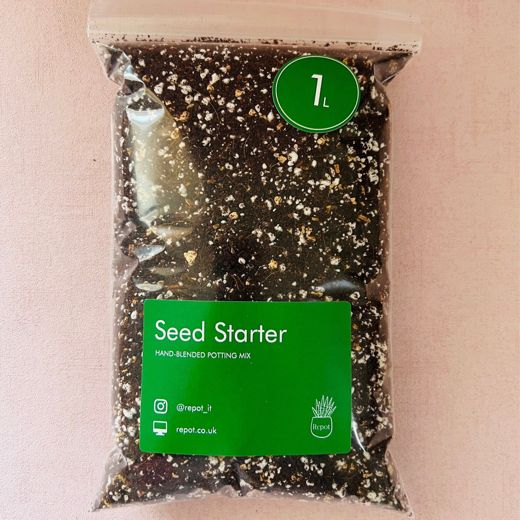 Seed Starting Kit | Grow your own veggies