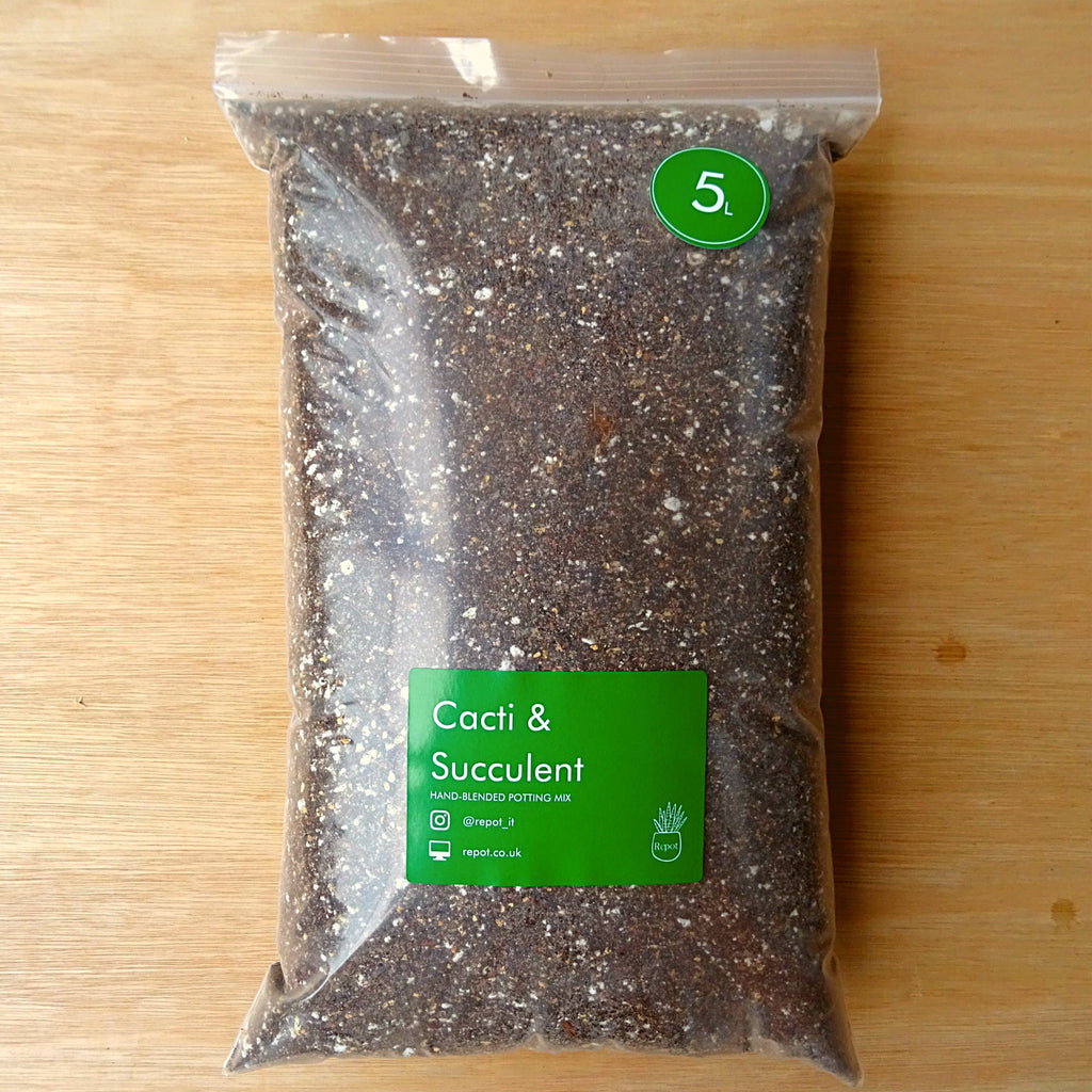 Cactus & Succulent Potting Mix