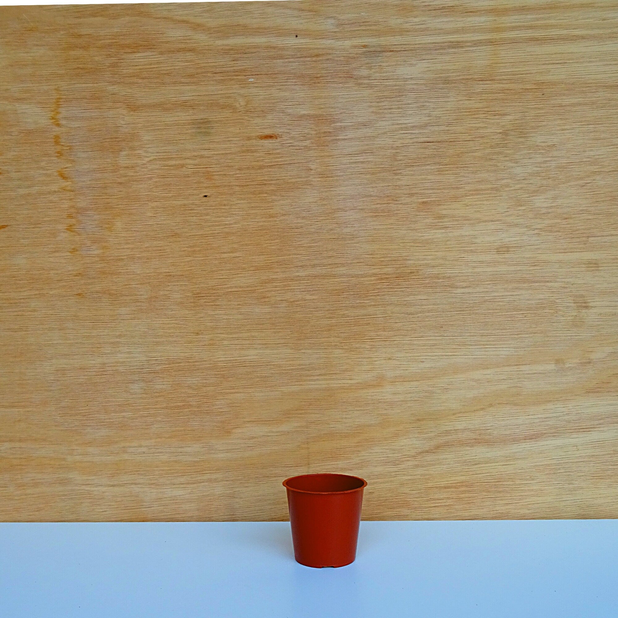 House Plant Propagating Kit | Hand-blended potting mix