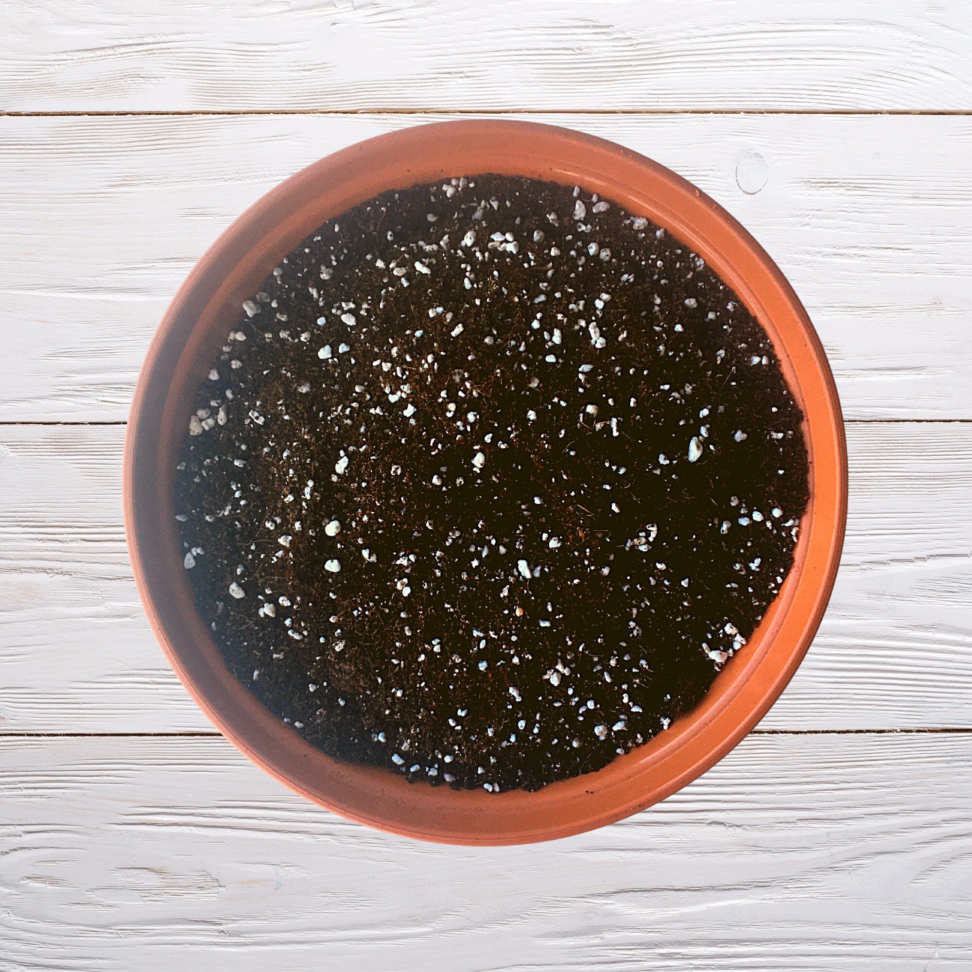 House Plant Potting Mix & Two 10cm Pots | Hand-blended