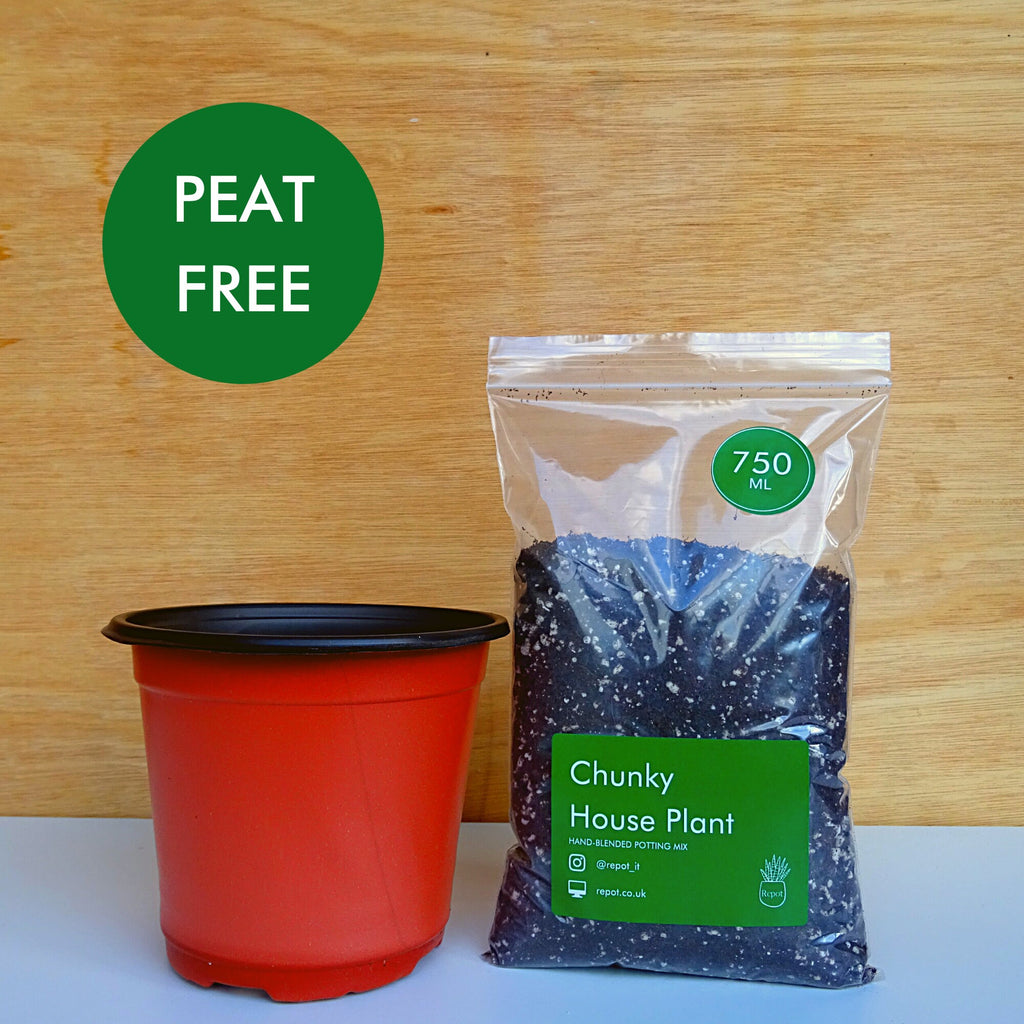 Chunky House Plant Repotting Kit incl. Hand-blended Potting Mix