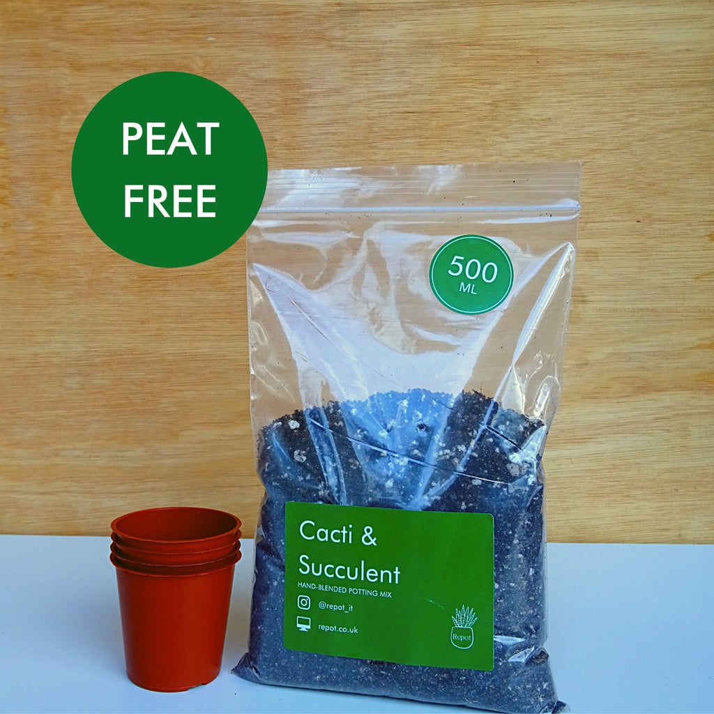 Cacti & Succulent Propagating Kit | Hand-blended potting mix