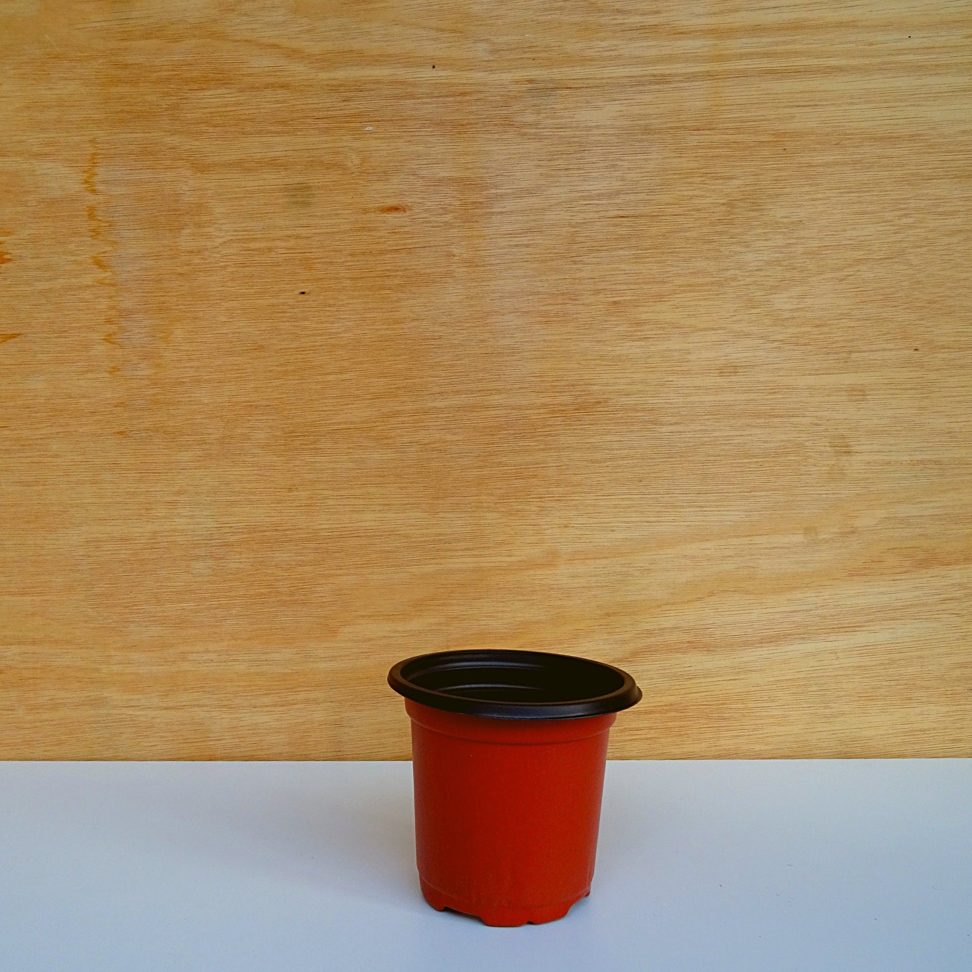 House Plant Potting Mix & Two 10cm Pots | Hand-blended