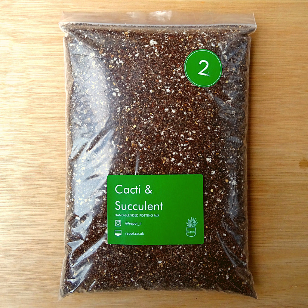 Cactus & Succulent Potting Mix