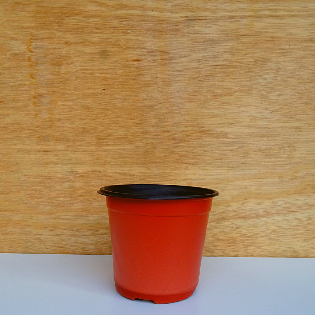 Chunky House Plant Repotting Kit incl. Hand-blended Potting Mix