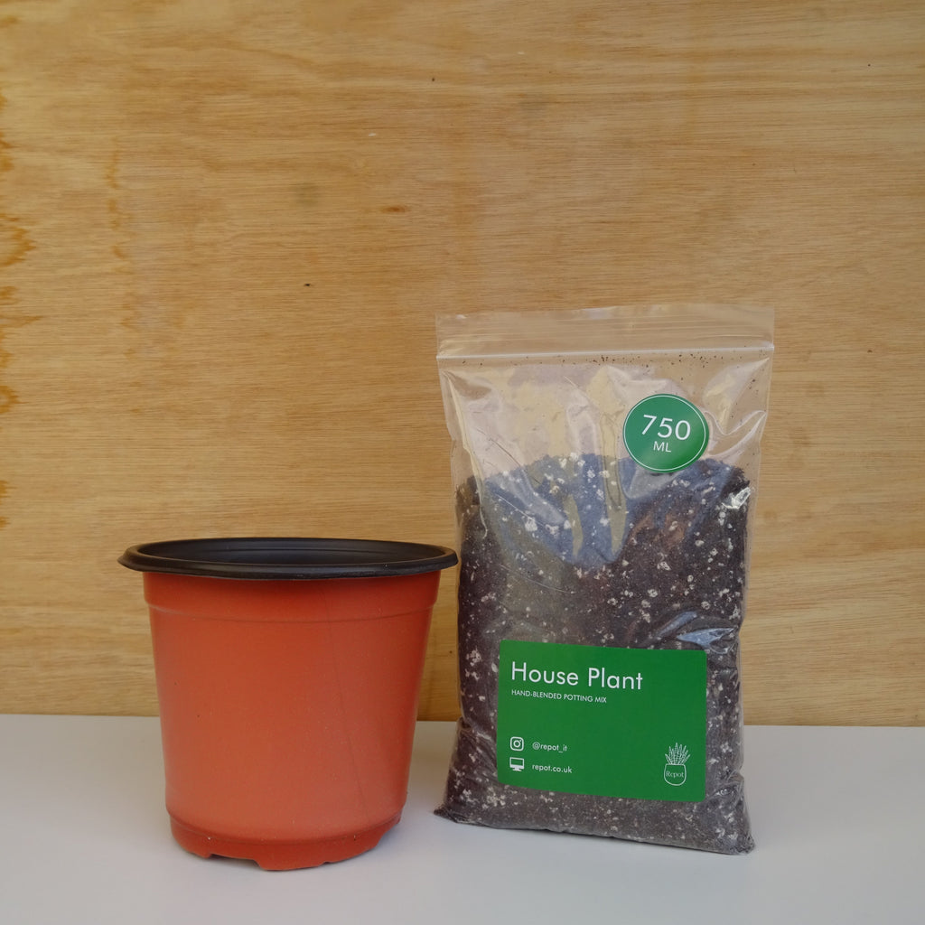 House Plant Repotting Kit incl. Hand-blended Potting Mix