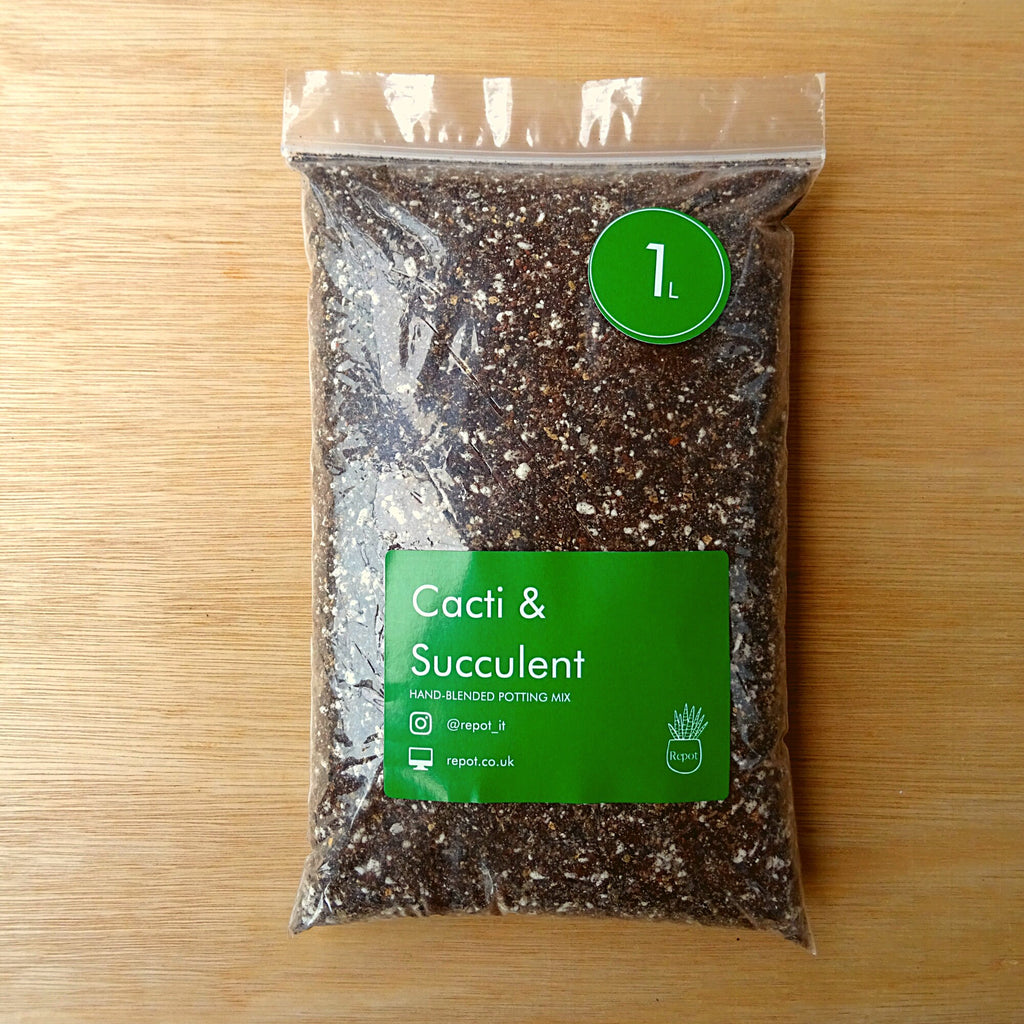 Cactus & Succulent Potting Mix