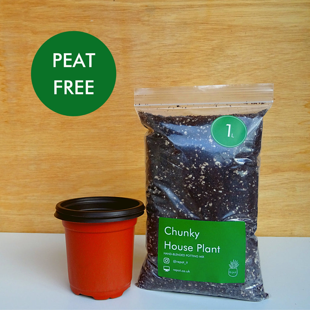Chunky House Plant Potting Mix & Two 10cm Pots