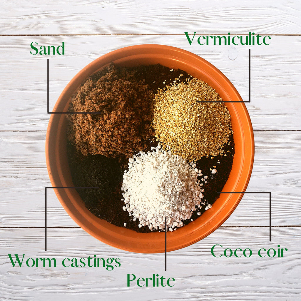 Cactus & Succulent Houseplant Repotting Kit incl. Hand-blended Potting Mix