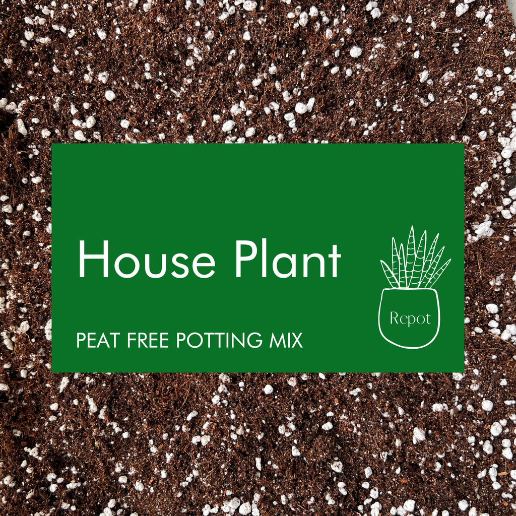 House Plant Potting Mix